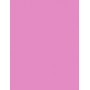 Fanola Color Mask Farba do włosów 30ml Pink Sugar