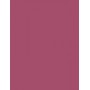 L´Oréal Paris Color Riche Lipcolour Pomadka 3,6g 214 Violet Saturne