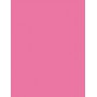 L´Oréal Paris Color Riche Lipcolour Pomadka 3,6g 303 Rose Tendre