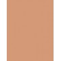 Guerlain Terracotta Puder 10g 00 Light-Blondes